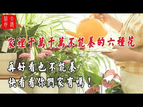 家裡不能放 的花